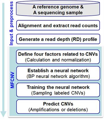 MFCNV: A New Method to Detect Copy Number Variations From Next-Generation Sequencing Data